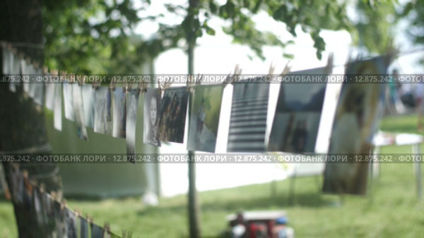 Фотографии прикреплены прищепками на веревке в парке (2015 год). Редакционное видео, видеограф Александр Багно / Фотобанк Лори