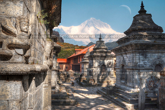 Freely walk monkey. Votive temples and shrines in a row at Pashupatinath Temple, Kathmandu, Nepal. Стоковое фото, агентство Ingram Publishing / Фотобанк Лори