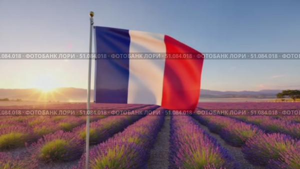 French flag waving in a lavender field during sunrise. The vibrant colors of the flag contrast with the purple flowers, symbolizing Bastille Day celebrations. Стоковое AI-видео, аниматор Nart / Фотобанк Лори