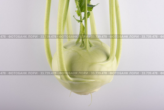 Fresh kohlrabi, close-up isolated on white background. Стоковое фото, фотограф Evgeny Miller / Фотобанк Лори