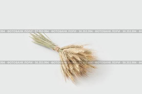 From above of small bouquet with golden ears of organically grown wheat placed on simple white background. Organic dry spikelets of wheat. Стоковое фото, агентство Ingram Publishing / Фотобанк Лори