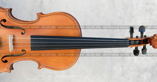 front view violin. Стоковое фото, агентство Ingram Publishing / Фотобанк Лори