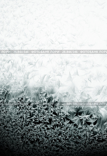 Frosty pattern on winter window. Стоковое фото, фотограф ElenArt / Фотобанк Лори