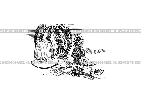 Фруктовый десерт. Арбуз, дыня, ананас, яблоко, груша, лимон. Репродукция графического рисунка со старинной книги сделана в январе 2024 года. Редакционное фото, фотограф Сергей Никифоров-Гордеев / Фотобанк Лори