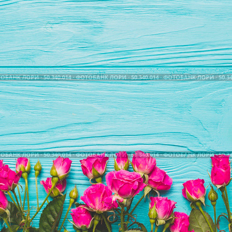 fuchsia roses turquoise background. Стоковое фото, агентство Ingram Publishing / Фотобанк Лори