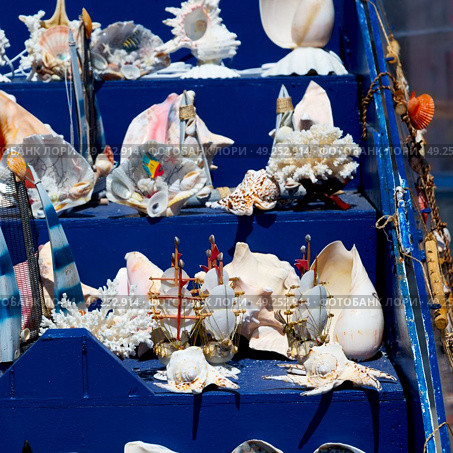full in market old table shell and sealife in sale. Стоковое фото, агентство Ingram Publishing / Фотобанк Лори