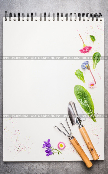 Garden tolls with flowers and petal on blank notebook. Gardening background. Стоковое фото, агентство Ingram Publishing / Фотобанк Лори
