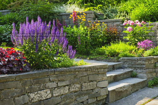 Garden with stone landscaping. Стоковое фото, фотограф Elena Elisseeva / Smarterpix / Фотобанк Лори