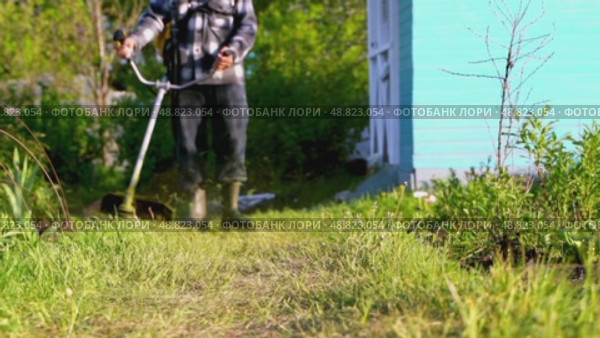 Gardener with grass trimmer mows lawn. Стоковое видео, видеограф Igor Skripachev / Фотобанк Лори