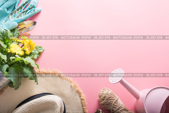 Gardening background with gerbera, tolls and flowers plant in box on yellow background. Top view. Copy space. Стоковое фото, фотограф Светлана Лажко / Фотобанк Лори