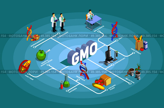 Genetically modified organisms isometric flowchart on turquoise background with dna, research, organic food, gmo goods vector illustration. Genetically Modified Organisms Isometric Flowchart. Стоковая иллюстрация, агентство Ingram Publishing / Фотобанк Лори