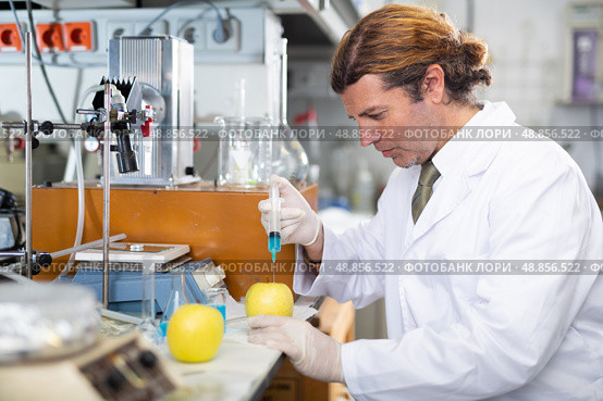 Geneticist working in laboratory, injecting additives into apple during experiments with genetically modified apple. Стоковое фото, фотограф Яков Филимонов / Фотобанк Лори