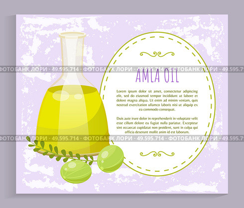 Glass vessel contains liquid inside, amla oil. Indian gooseberries and branch with leaves near glassware. Green small berries near bottle. Space for information about product. Vector illustration. Information About Amla Oil in Vessel, Gooseberries. Стоковая иллюстрация, агентство Ingram Publishing / Фотобанк Лори