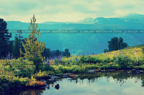 Gloomy mountain lake. Стоковое фото, фотограф Яков Филимонов / Фотобанк Лори