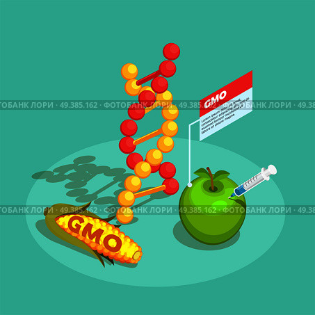 GMO food isometric composition on turquoise background with dna molecule, genetically modified corn and apple vector illustration. GMO Food Isometric Composition. Стоковая иллюстрация, агентство Ingram Publishing / Фотобанк Лори