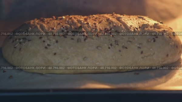 Golden brown whole grain bread loaf rising and baking in oven, topped with seeds, showing warmth and homemade freshness. Стоковое видео, видеограф Андрей Журавлев / Фотобанк Лори