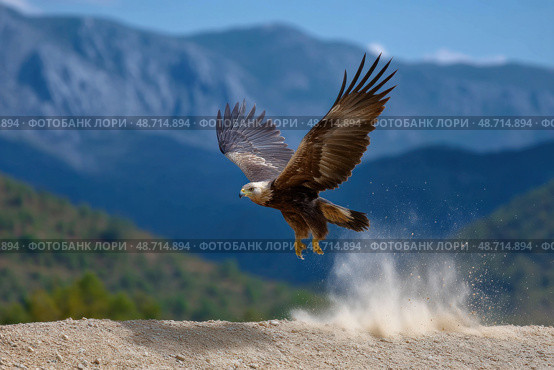 Golden eagle taking off, raising dust cloud with mountain background. Стоковое AI-изображение, AI-художник Юрий Поздников / Фотобанк Лори
