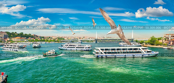 Golden Horn in Istanbul and view of bosphorus. Стоковое фото, агентство Ingram Publishing / Фотобанк Лори