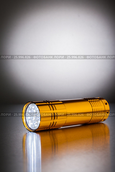 Golden pocket LED flashlight. Стоковое фото, фотограф Alexander / Фотобанк Лори