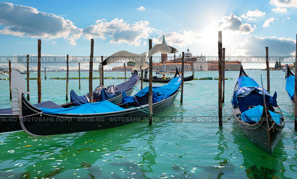 Gondolas in Grand Canal in Venice, Italy. Seagull over gondolas. Стоковое фото, агентство Ingram Publishing / Фотобанк Лори