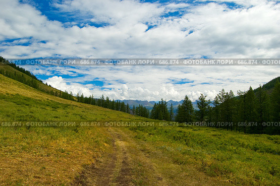 Горный Алтай. Стоковое фото, фотограф Селигеев Андрей Иванович / Фотобанк Лори