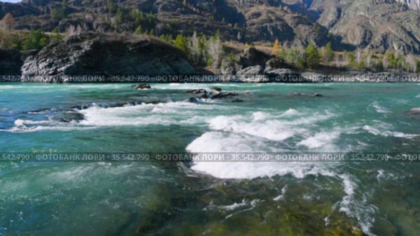 Горный Алтай осенью. Еландинские пороги на реке Катуни. Altai mountains in autumn. Elandinsky rapids on Katun river. Стоковое видео, видеограф Евгений Романов / Фотобанк Лори