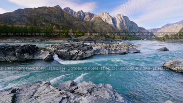 Горный Алтай осенью. Еландинские пороги на реке Катуни. Altai mountains in autumn. Elandinsky rapids on Katun river. Стоковое видео, видеограф Евгений Романов / Фотобанк Лори