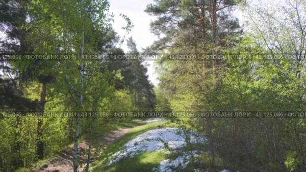 Городецкий вал (Городец, Нижегородская область) (2024 год). Стоковое видео, видеограф Илья Старков / Фотобанк Лори