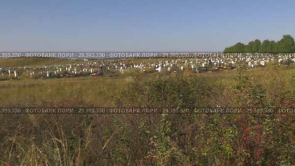 Городское кладбище. City cemetery. Muslim and Orthodox parts. (2018 год). Стоковое видео, видеограф Евгений Романов / Фотобанк Лори