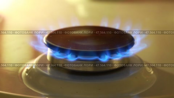 Горящее пламя конфорки газовой плиты. Стоковое видео, видеограф Яна Королёва / Фотобанк Лори