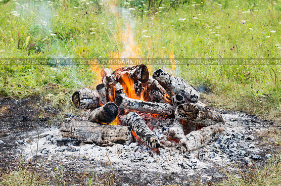 Горящий на поляне костёр. Birning campfire. Стоковое фото, фотограф Евгений Романов / Фотобанк Лори