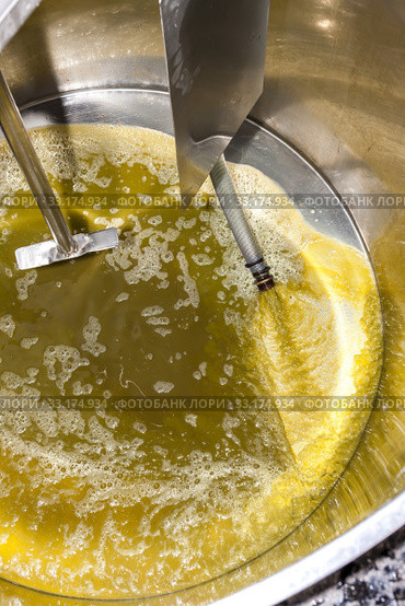 grape juice during wine harvest, Southern Moravia, Czech Republic. Стоковое фото, фотограф Richard Semik / Smarterpix / Фотобанк Лори