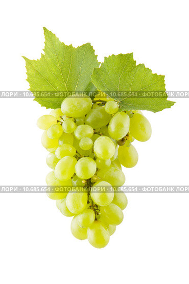 Grapes on white. Стоковое фото, фотограф Artur Wojteczek / PantherMedia / Фотобанк Лори