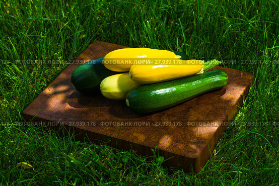 green and yellow vegetable marrow. Стоковое фото, фотограф Oleksandr Chub / PantherMedia / Фотобанк Лори