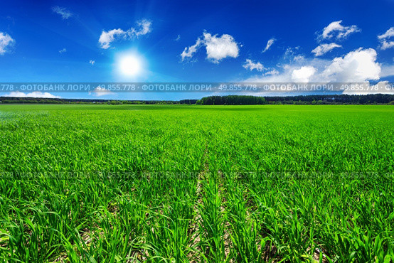 Green field and blue sky. Стоковое фото, агентство Ingram Publishing / Фотобанк Лори