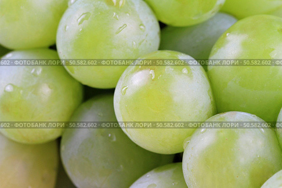 Green grapes texture. Healthy eating concept. Стоковое фото, агентство Ingram Publishing / Фотобанк Лори
