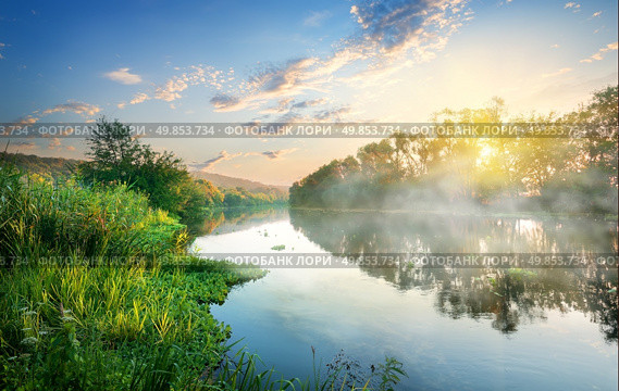 Green reeds by the river in the morning. Стоковое фото, агентство Ingram Publishing / Фотобанк Лори