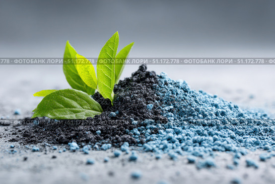 Green scoop with fertilizer blue granules. Granular chemical fertiliser for plant over soil background. Role of nutrients mineral in plants growth, soil life. Space for text. Gardening time. Planting. Стоковое AI-изображение, AI-художник Марина Демидюк / Фотобанк Лори