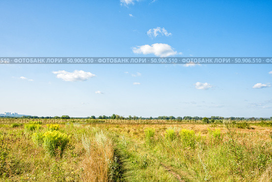 Грунтовая дорога среди лугов (Артёмовские луга) Стоковое фото, фотограф Илья Старков / Фотобанк Лори
