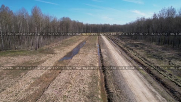грунтовая дорога в лесу весной вид с беспилотника, квадрокоптера. Стоковое видео, видеограф Руслан Лесков / Фотобанк Лори