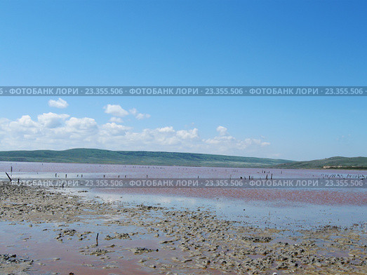 Грязелечебное Чокракское озеро у п. Курортное, Крым (2016 год). Стоковое фото, фотограф Галина Хорошман / Фотобанк Лори