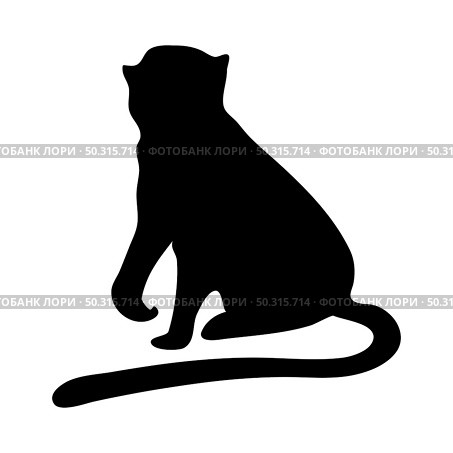 Guenon ape silhouette. Smooth and clean lines. High detailed Guenon  monkey silhouette. Vector Illustration.. apes silhouettes set. Стоковая иллюстрация, агентство Ingram Publishing / Фотобанк Лори