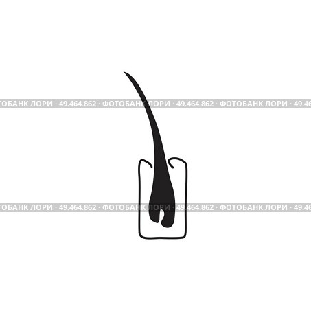 hair detail illustration. Стоковая иллюстрация, агентство Ingram Publishing / Фотобанк Лори