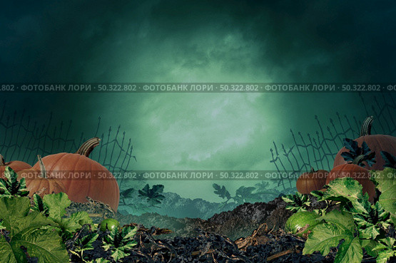 Halloween autumn background in a creepy night background with copy space as a pumpkin patch with  a scary foggy night sky in a haunted farm land in a 3D illustration style. Стоковое фото, агентство Ingram Publishing / Фотобанк Лори