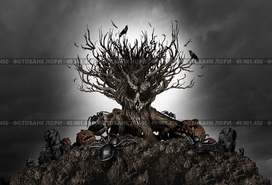 Halloween haunted creepy tree night background as an old growth plant shaped as a monster skull with pumpkins and spiders as a scary autumn scenery as a horror theme with 3D illustration elements. Стоковое фото, агентство Ingram Publishing / Фотобанк Лори