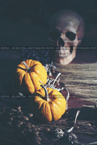 Halloween pumpkin, vintage filter image. Стоковое фото, агентство Ingram Publishing / Фотобанк Лори