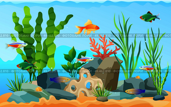 Hand drawn aquarium with fish and seaweed. Goldfish and neon tetra, green tiger barb and blue striped tamiran wrasse swimming among underwater plants. Hand drawn aquarium with fish and seaweed icons. Стоковая иллюстрация, агентство Ingram Publishing / Фотобанк Лори