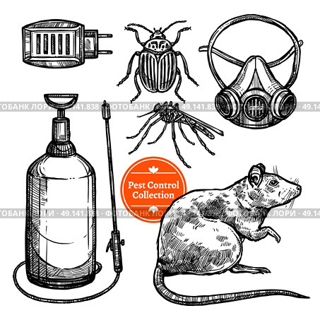 Hand Drawn Sketch Pest Control. Hand drawn monocrome sketch pest control set with insects rodent and repellent isolated on white background vector illustration. Стоковая иллюстрация, агентство Ingram Publishing / Фотобанк Лори