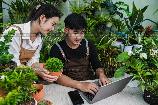 Happily gardener couple use laptop computer while online tutorial on potted plans in workshop together, vlogging or small business houseplant concept. Стоковое фото, агентство Ingram Publishing / Фотобанк Лори
