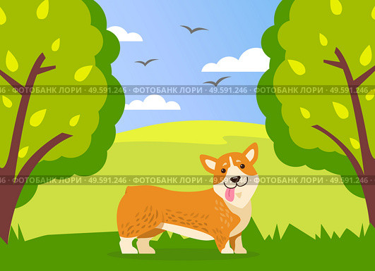 Happy cute corgi dog is walking in green summer park background. Funny ginger puppy with short paws and protruding tongue is walking in forest or meadow among trees and shrubs. Spring landscape. Happy cute corgi dog is walking in green summer park. Funny ginger puppy with short paws and tongue. Стоковая иллюстрация, агентство Ingram Publishing / Фотобанк Лори